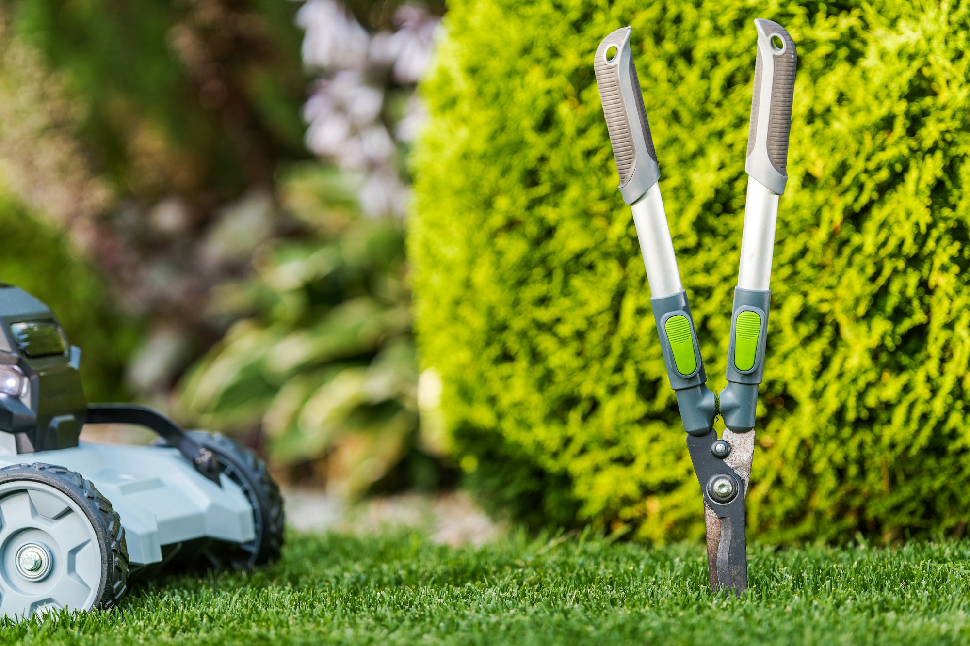 Garden tools and equipment for summer backyard maintenance